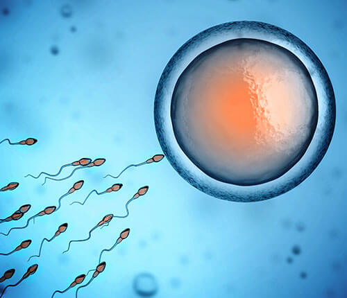 מזונות ילדים